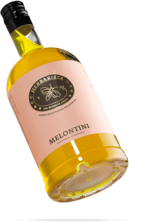 Дыня/Melontini сироп 0,7л стекло Herbarista Россия