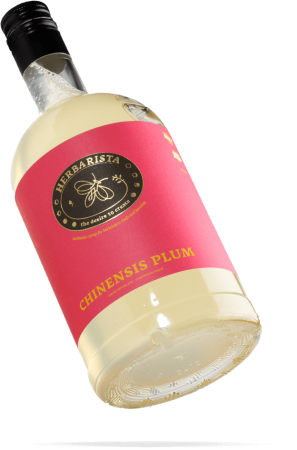 Личи/Chinensis Plum сироп 0,7л стекло Herbarista Россия