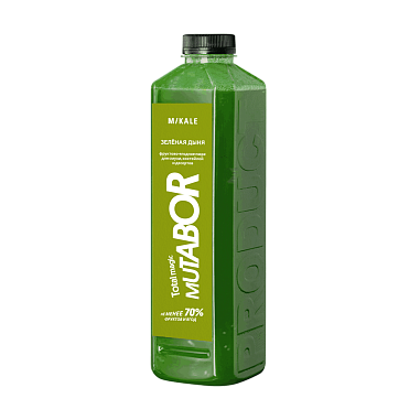 зеленая дыня