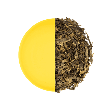 ЗК_Зеленый с липой