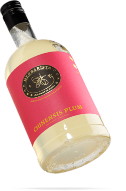 9zsgzwg0yms0p0c1wxth2fclqugk65kg