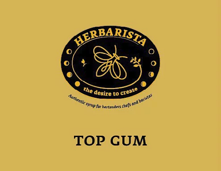 Сахарный/Top Gum сироп 0,7л стекло Herbarista Россия
