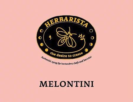 Дыня/Melontini сироп 0,7л стекло Herbarista Россия