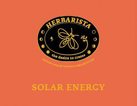 Цитрусовый Микс/Solar Energy сироп 0,7л стекло Herbarista Россия