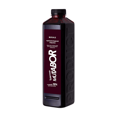 черноплодная рябина